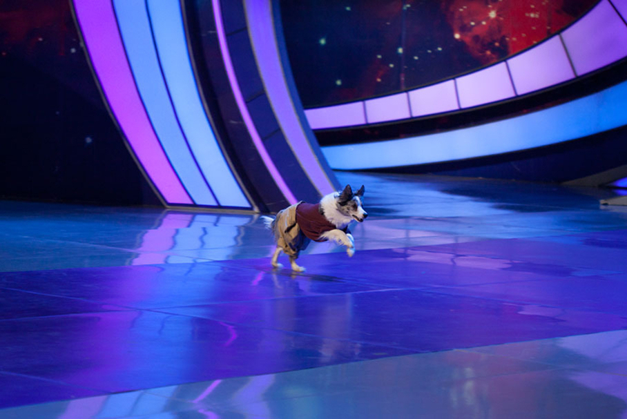 КВН 2018. «Плюшки имени Ярослава Мудрого», Тверь. Приветствие. Вторая 1/4 финала Высшей лиги.