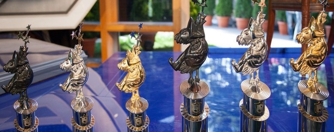 Юбилею «Голосящего КиВиНа» – 20 фактов музыкальных фестивалей КВН