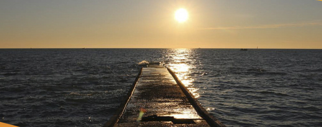 Встреча выпускников 2017. Редакторский просмотр. Online