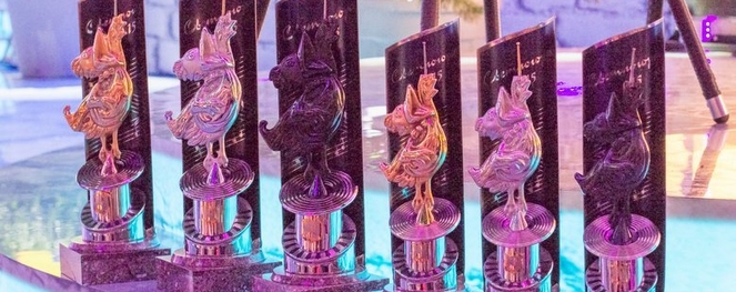 Блиц-опрос призёров «Голосящего КиВиНа 2015»